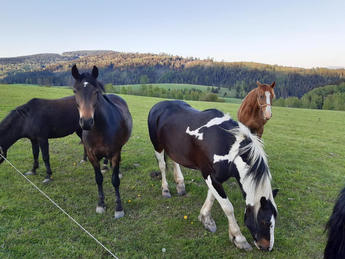 Chata Nova Seninka Stare Mesto  Exterior photo